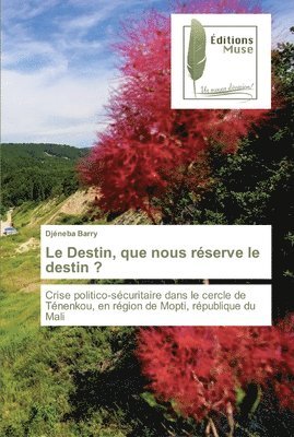 bokomslag Le Destin, que nous rserve le destin ?