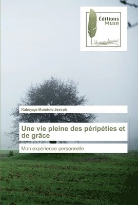 bokomslag Une vie pleine des pripties et de grce