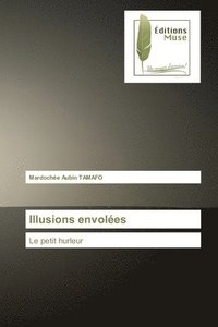 bokomslag Illusions envoles