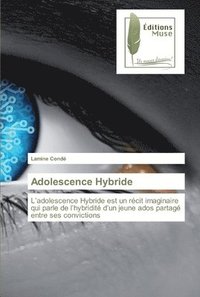 bokomslag Adolescence Hybride