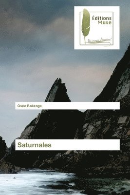 bokomslag Saturnales