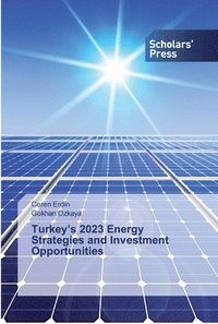bokomslag Turkey's 2023 Energy Strategies and Investment Opportunities