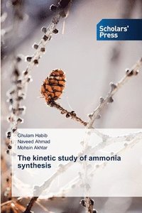 bokomslag The kinetic study of ammonia synthesis