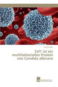 bokomslag Tef1 ist ein multifaktorielles Protein von Candida albicans