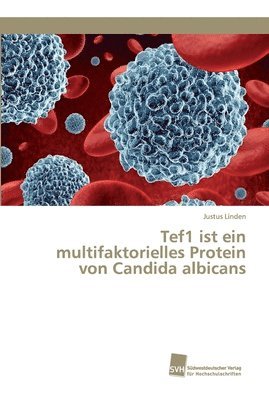 Tef1 ist ein multifaktorielles Protein von Candida albicans 1