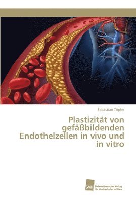 Plastizitt von gefbildenden Endothelzellen in vivo und in vitro 1