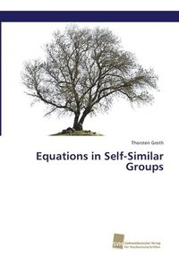 bokomslag Equations in Self-Similar Groups