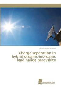bokomslag Charge separation in hybrid organic-inorganic lead halide perovskite