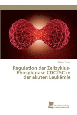 Regulation der Zellzyklus-Phosphatase CDC25C in der akuten Leukmie 1