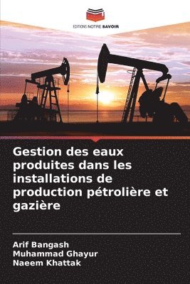 Arif Bangash, Muhammad Ghayur, Naeem Khattak - Gestion des eaux produites dans les installations de production pétrolière et gazière, Häftad