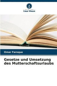 bokomslag Gesetze und Umsetzung des Mutterschaftsurlaubs