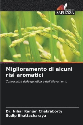 bokomslag Miglioramento di alcuni risi aromatici