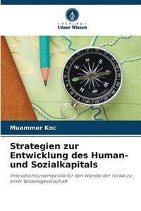 bokomslag Strategien zur Entwicklung des Human- und Sozialkapitals
