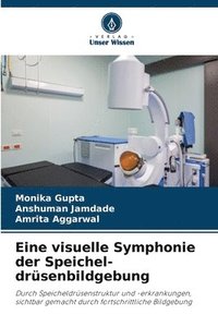 bokomslag Eine visuelle Symphonie der Speichel-drüsenbildgebung