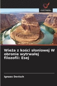 bokomslag Wie?a z ko?ci sloniowej W obronie wytrwalej filozofii