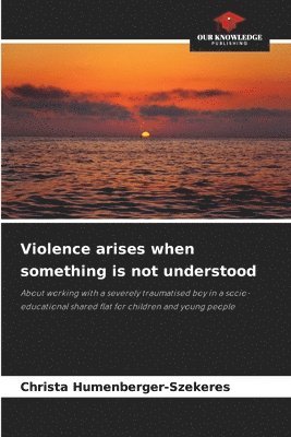 bokomslag Violence arises when something is not understood