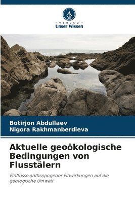 Aktuelle geoökologische Bedingungen von Flusstälern
