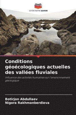 Botirjon Abdullaev, Nigora Rakhmanberdieva - Conditions géoécologiques actuelles des vallées fluviales, Häftad