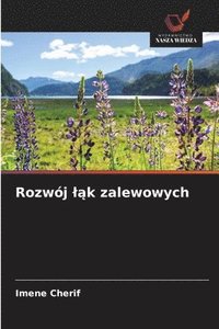 bokomslag Rozwój l?k zalewowych