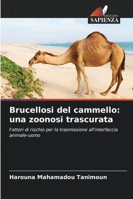 bokomslag Brucellosi del cammello