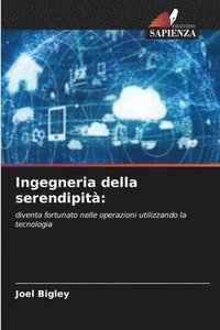 bokomslag Ingegneria della serendipità