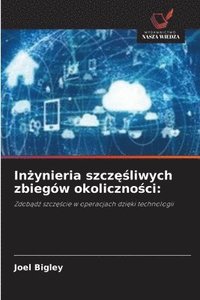 bokomslag In?ynieria szcz??liwych zbiegów okoliczno?ci