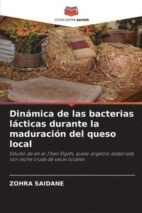 bokomslag Dinámica de las bacterias lácticas durante la maduración del queso local