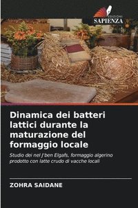 bokomslag Dinamica dei batteri lattici durante la maturazione del formaggio locale