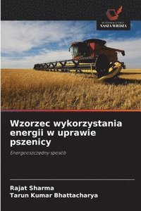 bokomslag Wzorzec wykorzystania energii w uprawie pszenicy
