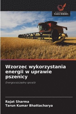 Wzorzec wykorzystania energii w uprawie pszenicy