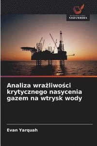 bokomslag Analiza wra¿liwo¿ci krytycznego nasycenia gazem na wtrysk wody