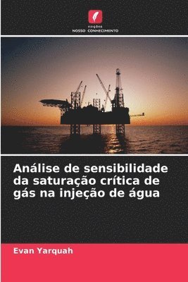 Evan Yarquah - Análise de sensibilidade da saturação crítica de gás na injeção de água, Häftad