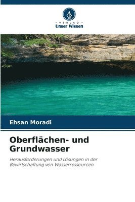 bokomslag Oberflächen- und Grundwasser