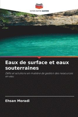 bokomslag Eaux de surface et eaux souterraines