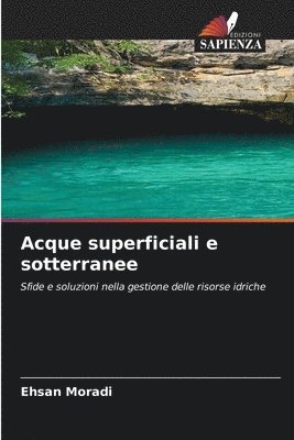 bokomslag Acque superficiali e sotterranee