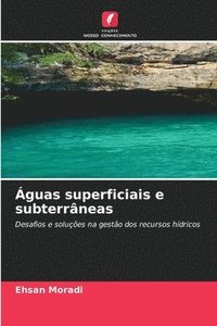 bokomslag Águas superficiais e subterrâneas