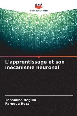 L'apprentissage et son mécanisme neuronal