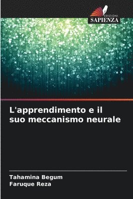 L'apprendimento e il suo meccanismo neurale