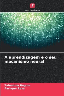 A aprendizagem e o seu mecanismo neural