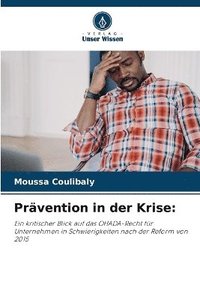 bokomslag Prävention in der Krise