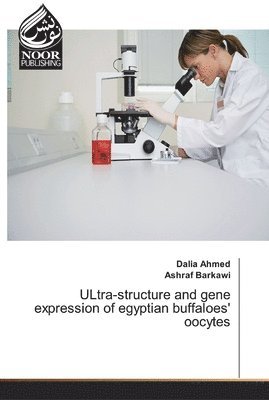 bokomslag ULtra-structure and gene expression of egyptian buffaloes' oocytes