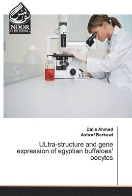 ULtra-structure and gene expression of egyptian buffaloes' oocytes 1