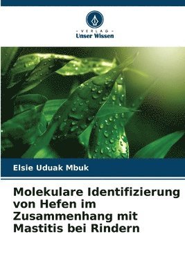 Elsie Uduak Mbuk - Molekulare Identifizierung von Hefen im Zusammenhang mit Mastitis bei Rindern, Häftad