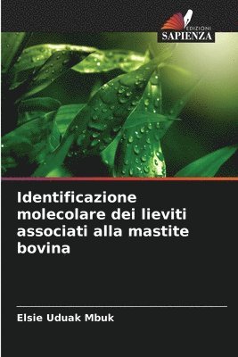 Identificazione molecolare dei lieviti associati alla mastite bovina
