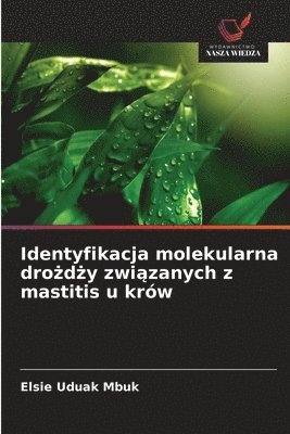 Identyfikacja molekularna drożdży związanych z mastitis u krów