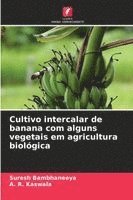 bokomslag Cultivo intercalar de banana com alguns vegetais em agricultura biológica