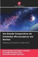 bokomslag Um Estudo Comparativo de Entidades Microscópicas em Rochas