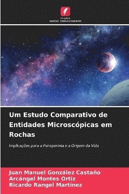 Juan Manuel González Castaño, Arcángel Montes Ortiz, Ricardo Rangel Martínez - Um Estudo Comparativo de Entidades Microscópicas em Rochas, Häftad