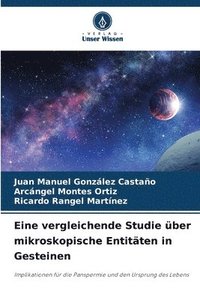 bokomslag Eine vergleichende Studie über mikroskopische Entitäten in Gesteinen