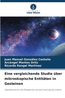 Juan Manuel González Castaño, Arcángel Montes Ortiz, Ricardo Rangel Martínez - Eine vergleichende Studie über mikroskopische Entitäten in Gesteinen, Häftad